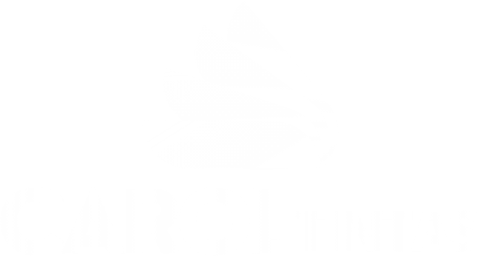 Carol Tintas logo